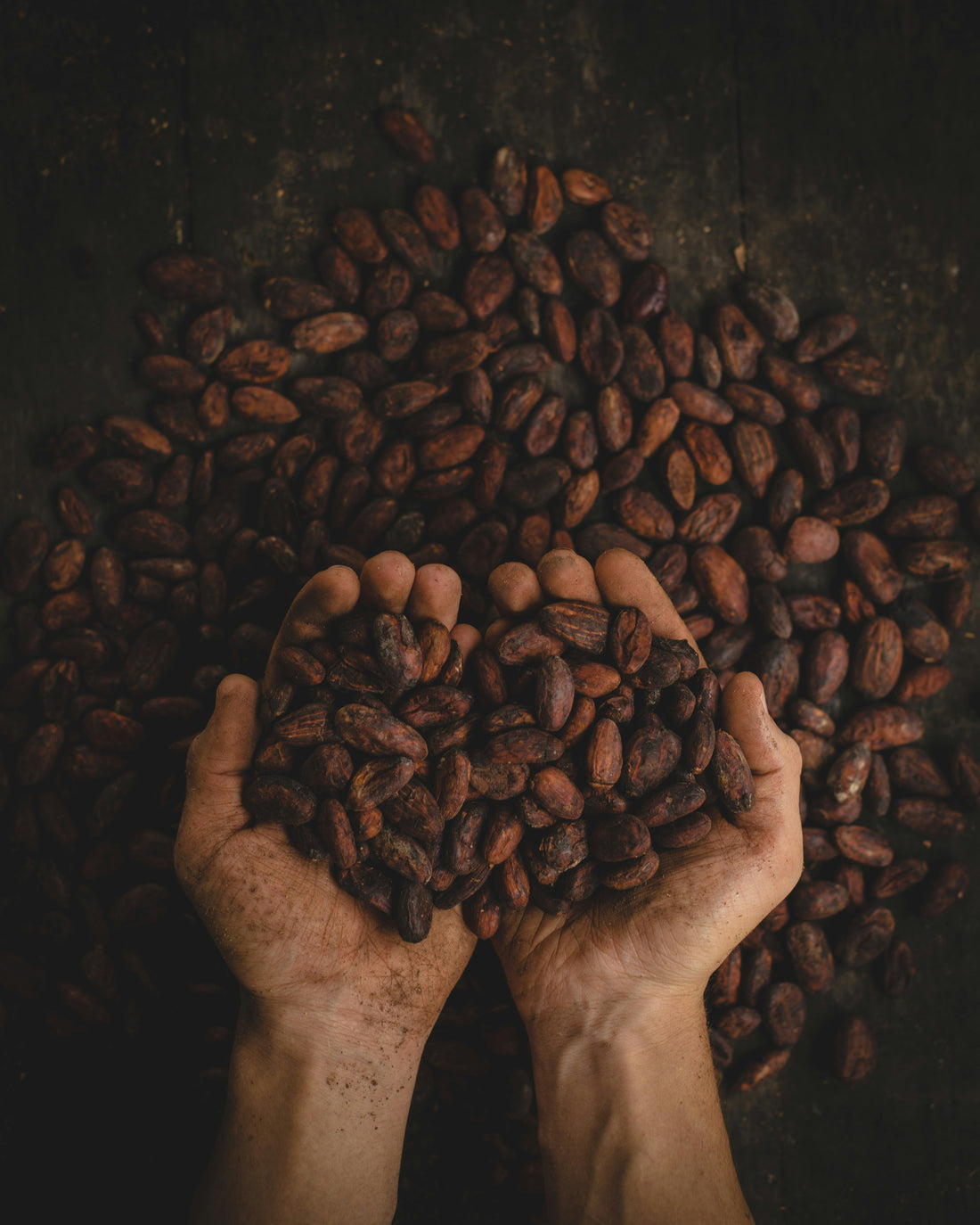 The Human Cost of Supporting Big Brand Chocolate and The Fair Trade Difference