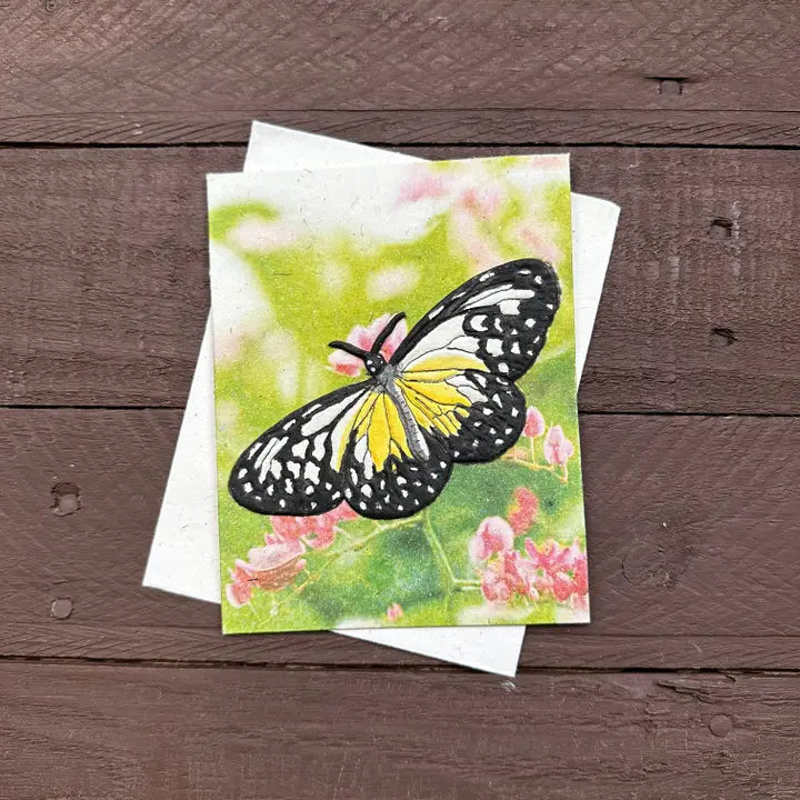 Butterfly Eco-Friendly Card