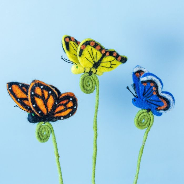 Butterfly Frond Friends