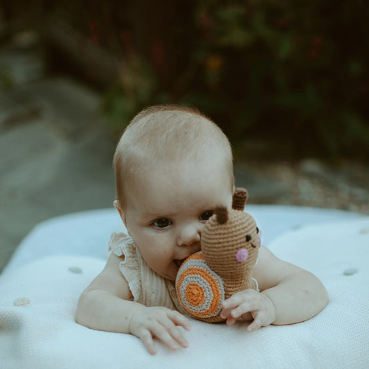 Knitted Snail Rattle