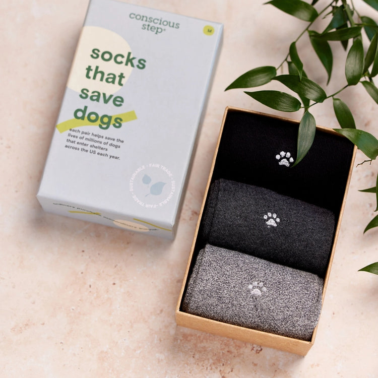 Socks That Save Dogs Box