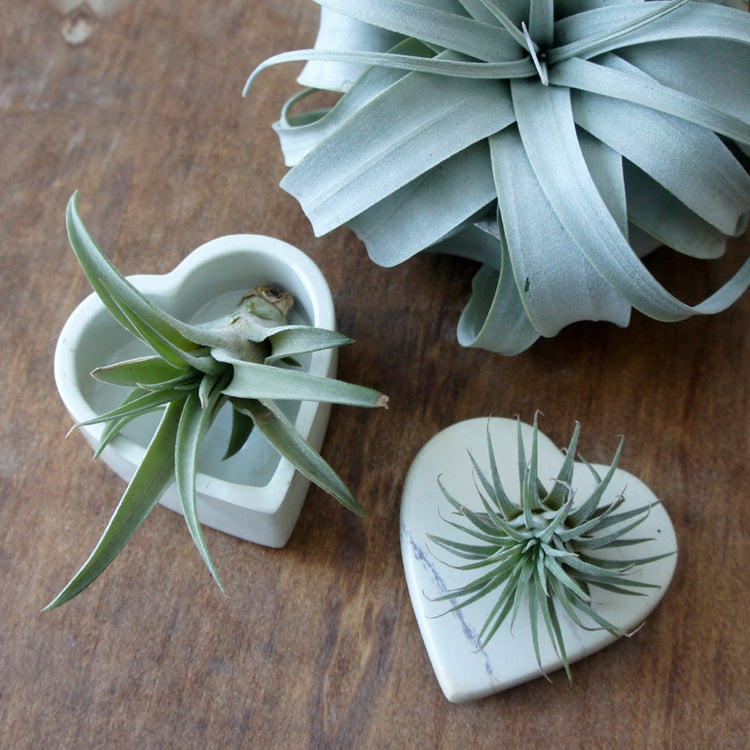 Natural Soapstone Heart Box