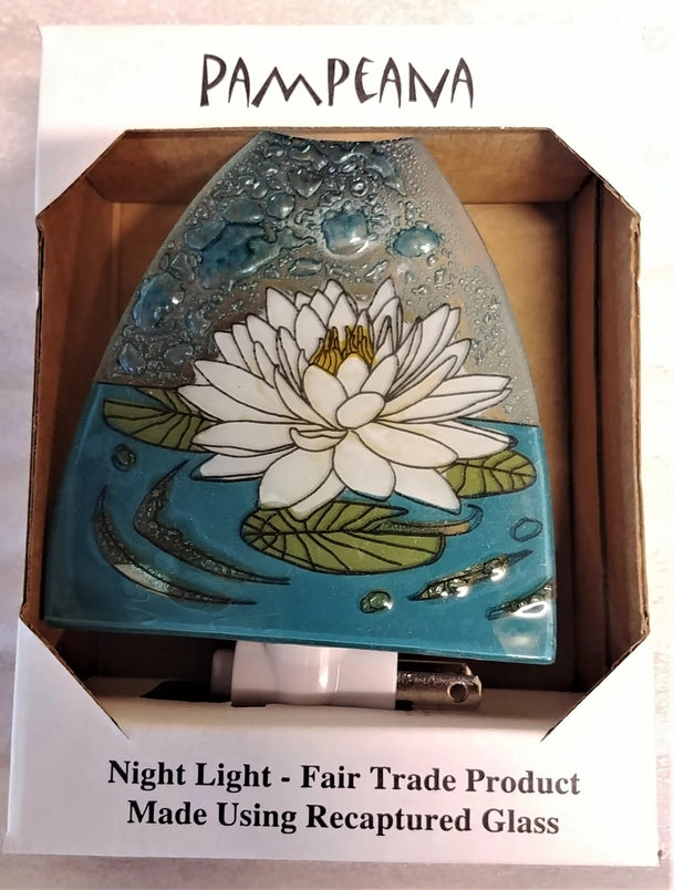 Hummingbird Night Light