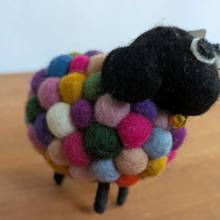 Rainbow Sheep