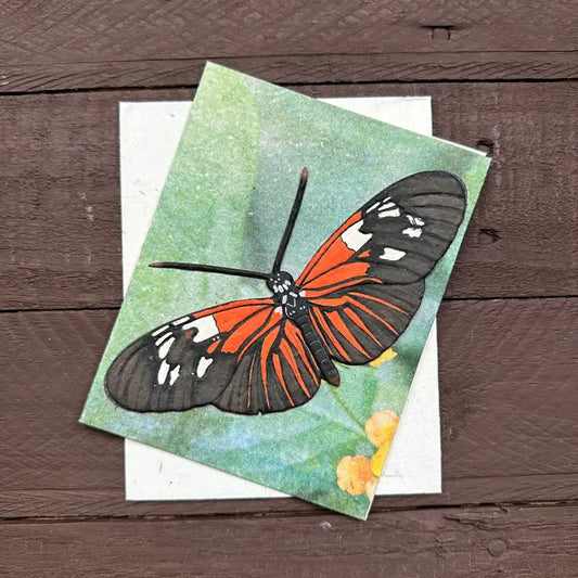 Butterfly Eco-Friendly Card